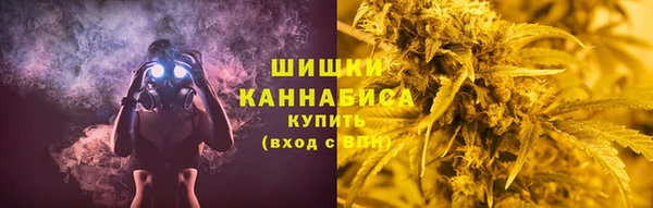ешки Дмитриев