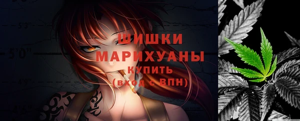стаф Дмитровск