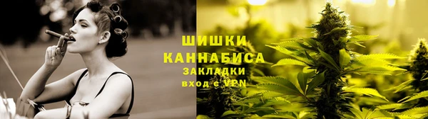 стаф Дмитровск