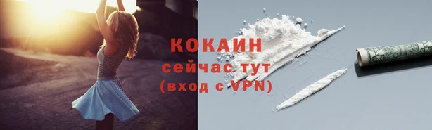 ешки Дмитриев