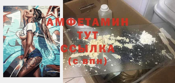 стаф Дмитровск